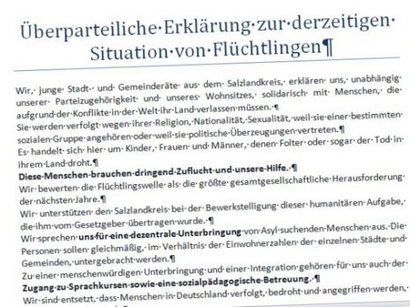 Anfang der Erklärung Junger Stadträte im Salzlandkreis zur Migration.